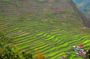Banaue Rice Terraces Escape: 3 Days, 2 Nights with Transfers