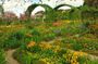 Private day tour to Giverny Gardens and Rouen from Paris