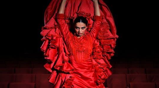 1-hour performative experience at Teatro Flamenco Madrid