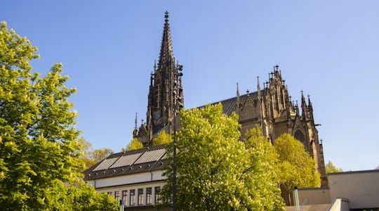 Exclusive private guided tour through the history of Basel with a local