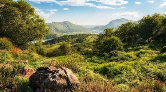 Self-guided electric bike tour from Killarney