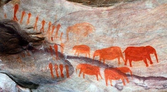Drakensberg World Heritage full-day tour from Durban