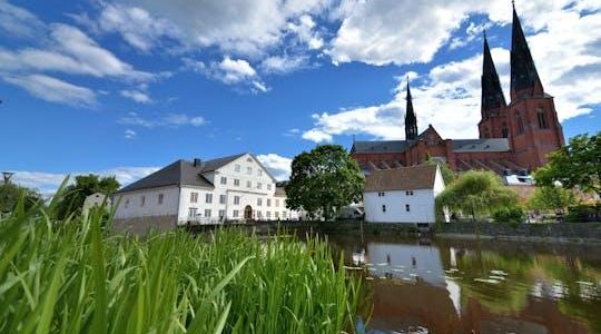 Viking history 3-hour public tour