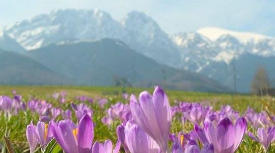 Zakopane and Tatra Mountains day tour from Krakow