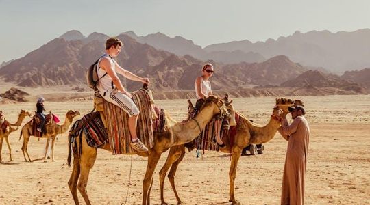 Naqb National Park in a 4x4 with camel ride and dinner