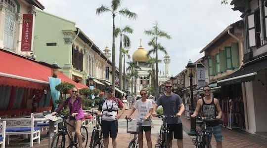 Historical Singapore bicycle tour