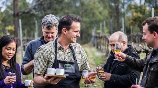 Culinary experience tour in Hunter Valley from Sydney