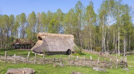 The Stockholm Bronze Age public tour