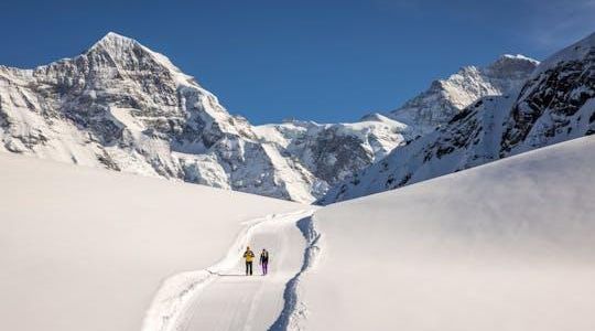 Sledging and Hiking Jungfrau Winter Travel Pass