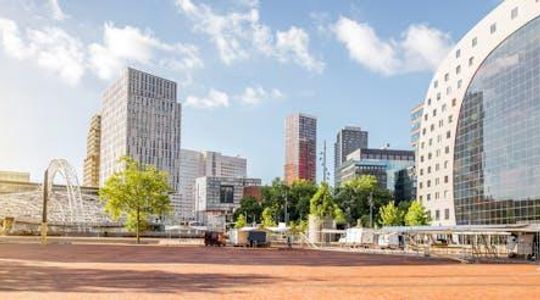 Rotterdam highlights 3-hour bike tour
