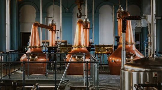 Giant's Causeway and Titanic Distillers Whiskey tasting from Dublin