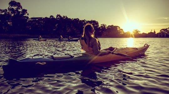Adelaide kayak tour with expert instructors