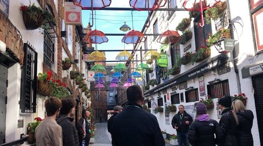 Best of Belfast walking tour with local guide