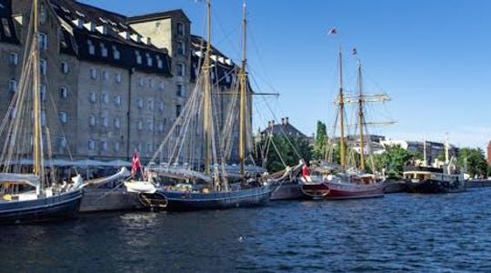 Small group 3-hour walking tour in Copenhagen