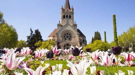 Discover Basel's most photogenic spots with a local