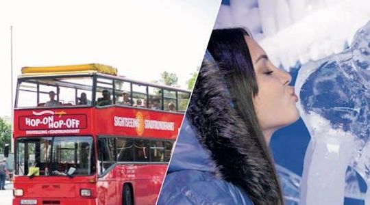 Berlin Icebar and 24 hour hop-on hop-off bus ticket