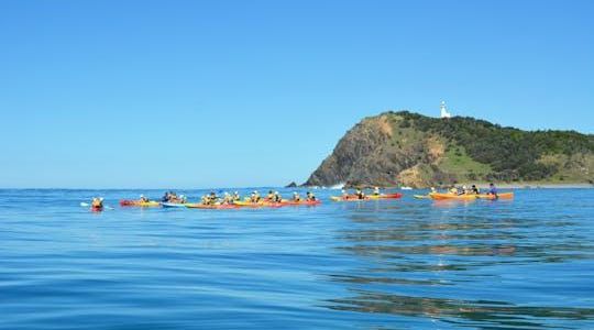 The Byron Bay sea kayak tour