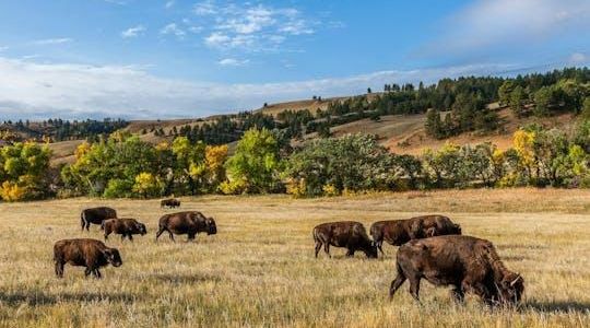 Self-Guided Driving Audio Tour Bundle to Explore Dakota