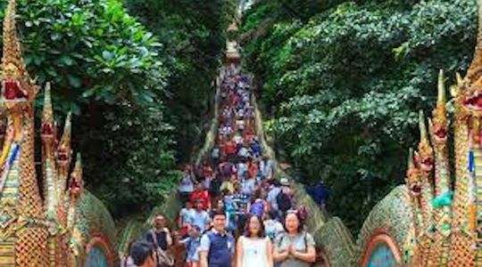 Chiang Mai City and Temples tour