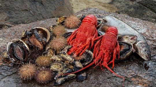 Tasmanian Seafood Seduction cruise