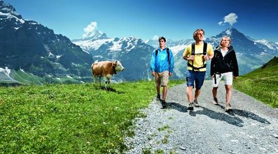 Grindelwald, Interlaken, and Lauterbrunnen day trip from Lucerne