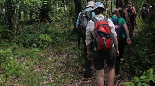 Mauritius Ebony Forest and hiking tour