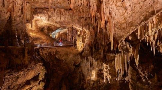 Day trip to Postojna Cave and Predjama Castle from Koper