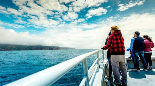 Wineglass Bay Cruise with Vista Lounge access