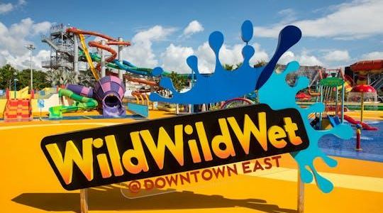 Wild Wild Wet Waterpark Entrance Ticket