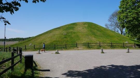 Guided Viking and vendel era walking tour in historic Uppsala