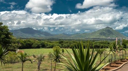 Casela Nature Parks entrance tickets with transfer