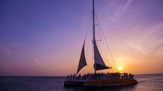 Palm Pleasure catamaran sunset tour