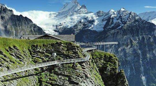 Day trip to Grindelwald First Mountain Adventure from Lucerne