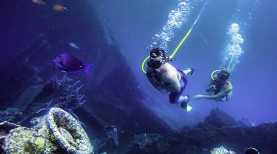 Snuba and snorkel adventure in Aruba