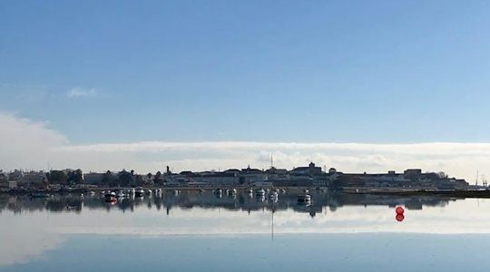 Ria Formosa speed boat tour from Faro