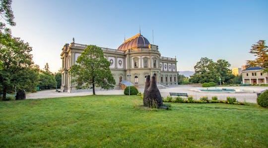 Explore Geneva's art and culture with a local