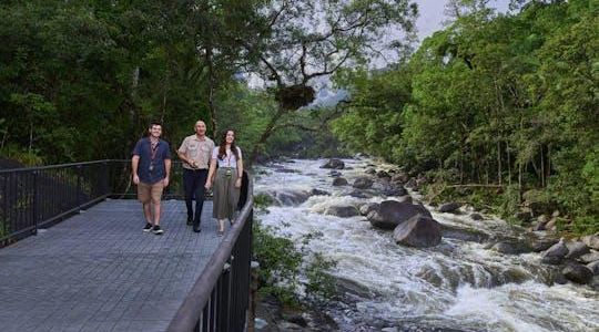 Full-day Cape Tribulation, Daintree and Mossman Gorge with lunch