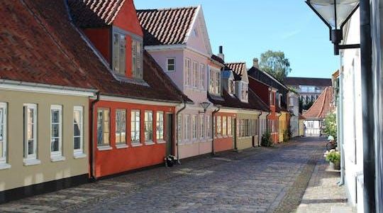 Odense private walking tour