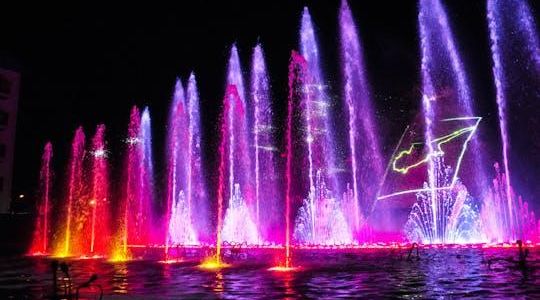 Magic Dancing Waters Ticket