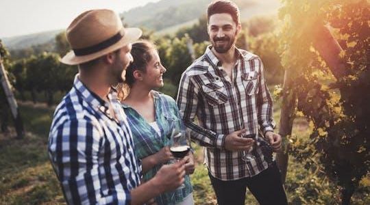 Guided half-day Mount Tamborine winery tour with lunch