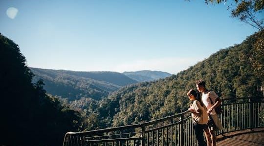 Natural Bridge and Springbrook tour