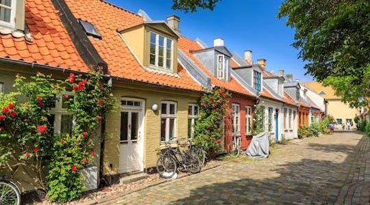 Introductory walking tour of Aarhus with a local