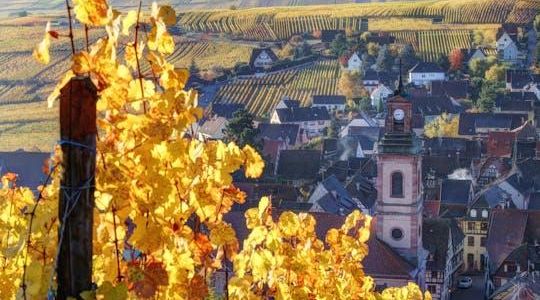 Alsace half-day shared wine tour from Colmar