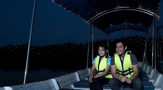 Kuala Selangor Firefly Blinking private tour with seafood dinner