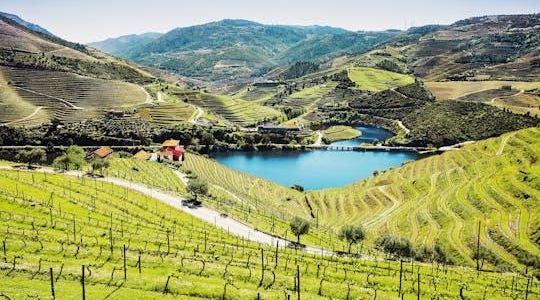 Douro Valley small-group tour with 2 wineries, lunch and river cruise