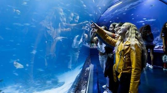 Admission Tickets for the Atlantis Aquarium in Madrid