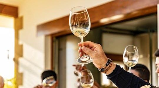 Txakoli wine house visit with tasting in a small-group