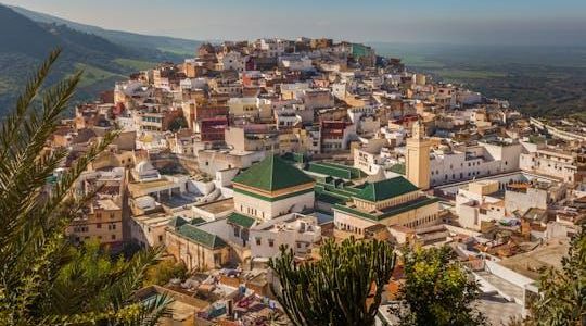Meknes and Volubilis day trip from Fez