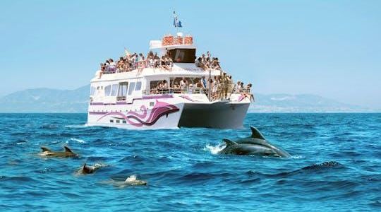 Costasol Cruceros dolphin-watching boat trip