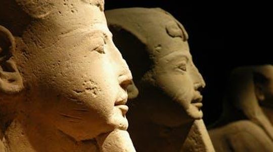 Egyptian Museum of Turin skip-the-line group tour
